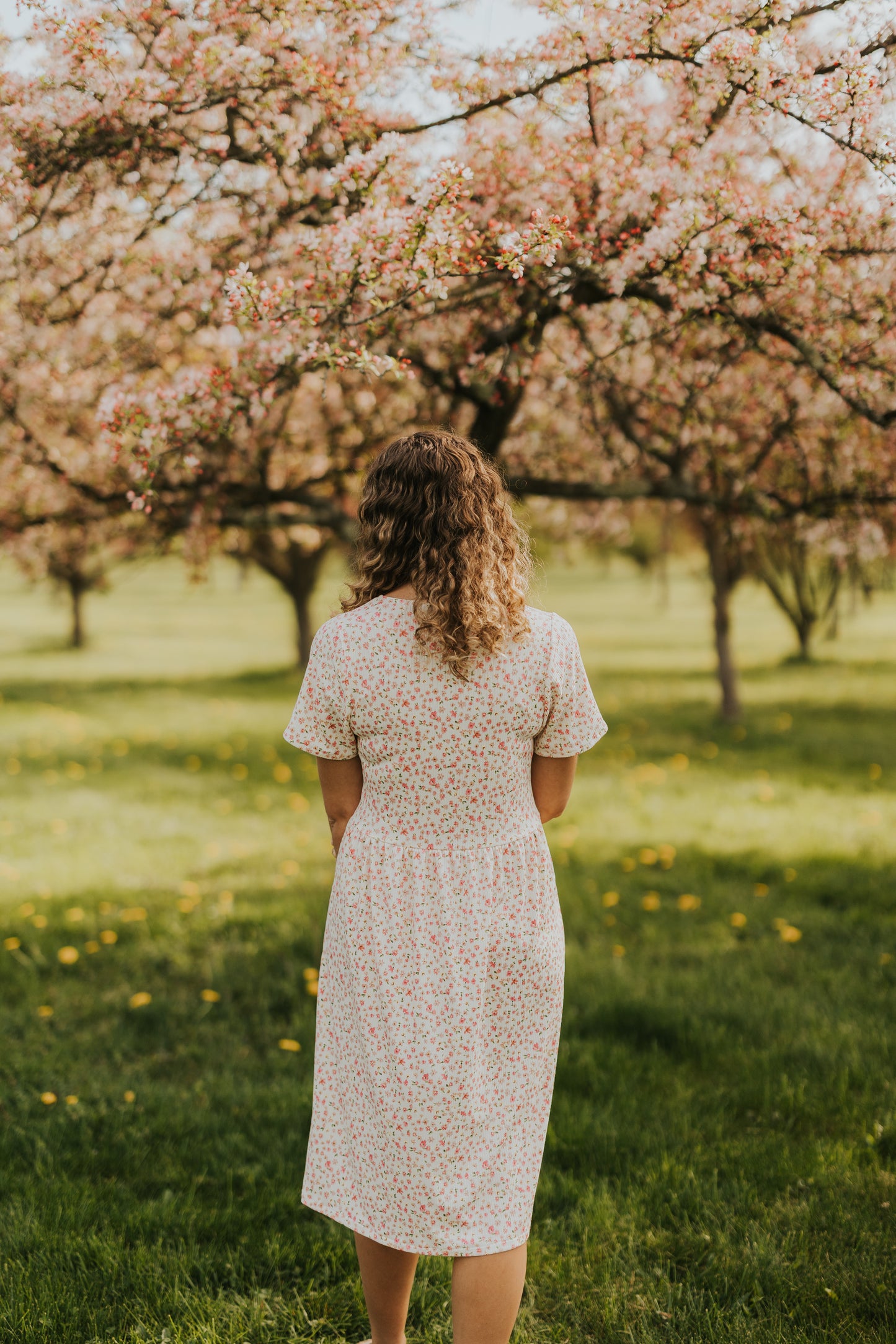 Ava Dress